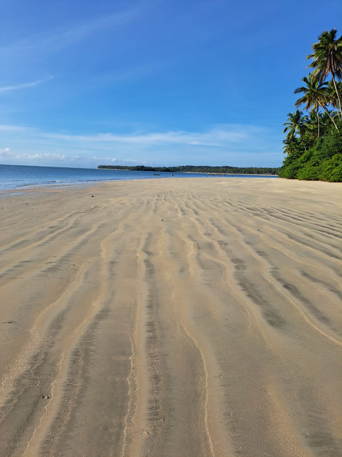Praia Background