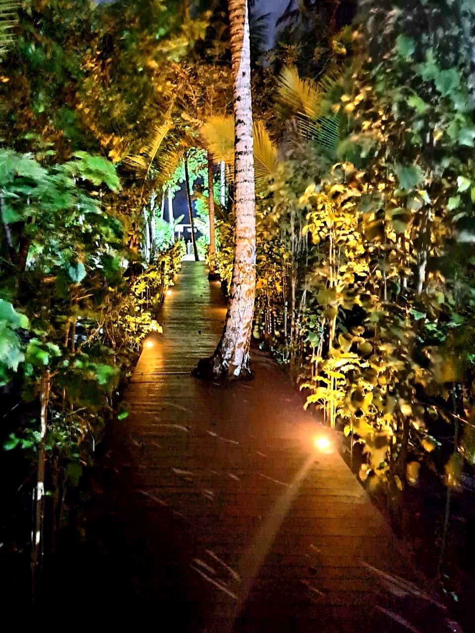 Caminho iluminado à noite