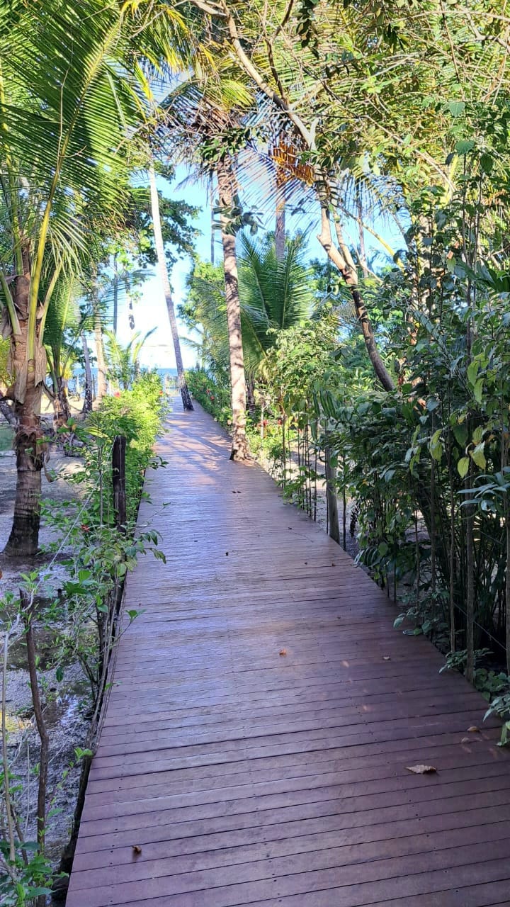 Caminho de dia