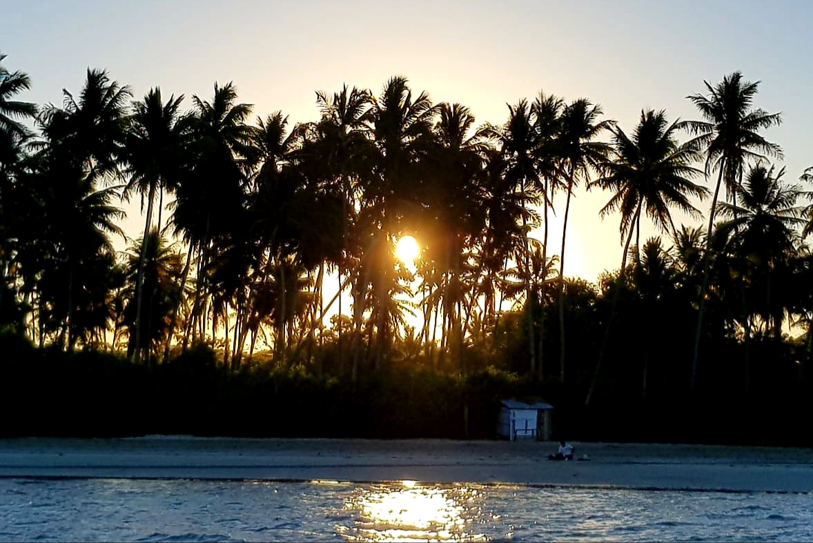 Pôr do sol entre os coqueiros — Praia de Tassimirim